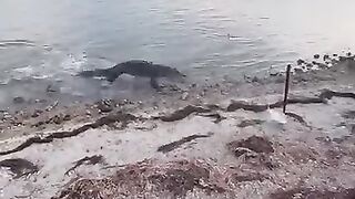Partie de peche