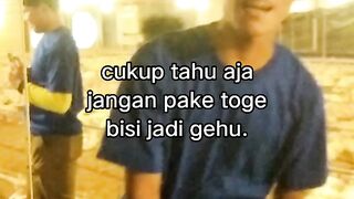 ayam broiler || kata kata lucu 568
