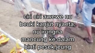 ayam broiler || kata kata lucu 571