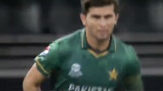 Gul ko cl kar k is an absolute ???? ???? ???? ???? ???? ❤