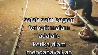 ayam broiler || kata kata lucu 572
