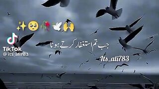 Ajmal Raza qadri bayan 256
