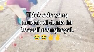 ayam broiler || kata kata lucu 573