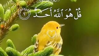 Quran Ayat 2