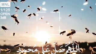 Quran Surah 61