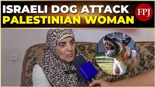 Israeli military dog attacks elderly Palestinian woman