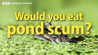 BOX SET- 6 Minute English - 'Feeding the world' English mega-class! 30 minutes of new vocab!