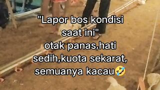 ayam broiler || kata kata lucu 577