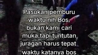 ayam broiler || kata kata lucu 579