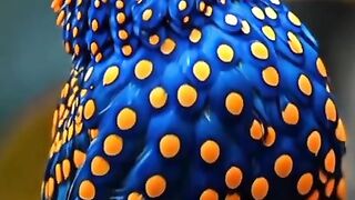 The_most_beautiful_bird_that_soothes_the_eyes_#shorts_#animals_#birds_#animals_#beutifulbird(480p).