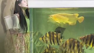 Fish farming 3