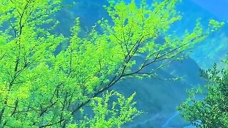 1160,status,status video,status song,status whatsap,beast song,good song,video,natural