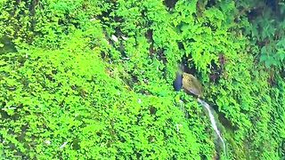 status,status video,status song,status whatsap,beast song,good song,video,natural
