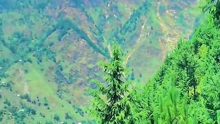 status,status video,status song,status whatsap,beast song,good song,video,natural