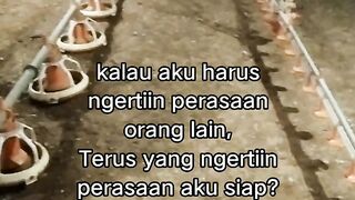 ayam broiler || kata kata lucu 581