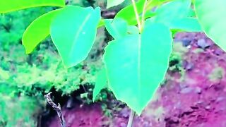 status,status video,status song,status whatsap,beast song,good song,video,natural