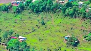 1200,status,status video,status song,status whatsap,beast song,good song,video,natural