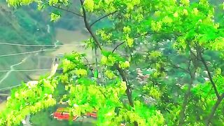 status,status video,status song,status whatsap,beast song,good song,video,natural