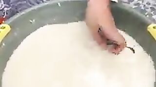 Fish recipes
