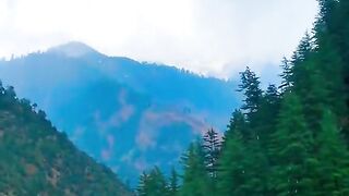1210,status,status video,status song,status whatsap,beast song,good song,video,natural
