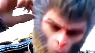 Funny video funny clip fun funny clip fun funny clip fun
