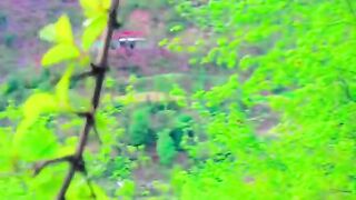 status,status video,status song,status whatsap,beast song,good song,video,natural