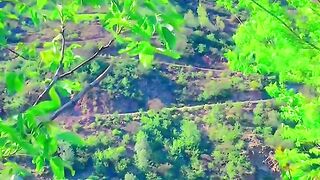 status,status video,status song,status whatsap,beast song,good song,video,natural
