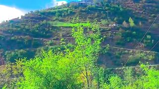 status,status video,status song,status whatsap,beast song,good song,video,natural
