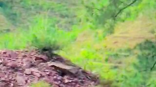 1230.status,status video,status song,status whatsap,beast song,good song,video,natural