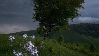 The Earth speaks to all of us, just listen......#nature #natureza #naturegram #storm #moodygrams #moodynature #thunder