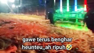 ayam broiler || kara kata lucu