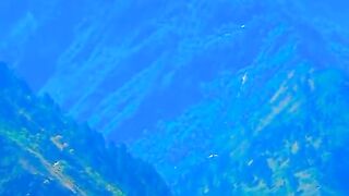 1260,status,status video,status song,status whatsap,beast song,good song,video,natural
