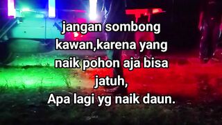 ayam broiler || kata kata lucu 583
