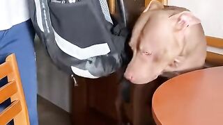 Lindo e emocionante esse vídeo