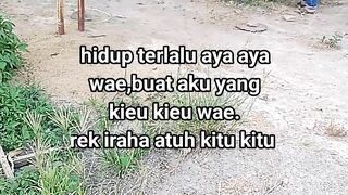 ayam broiler || kata kata lucu 585