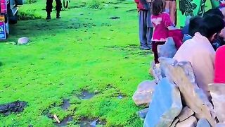 status,status video,status song,status whatsap,beast song,good song,video,natural