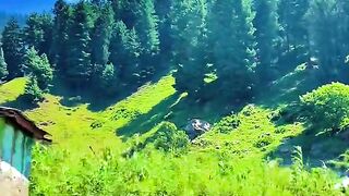 status,status video,status song,status whatsap,beast song,good song,video,natural