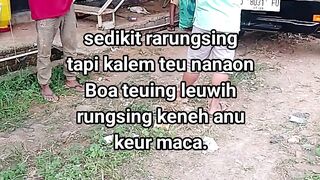 ayam broiler || kata kata lucu 587