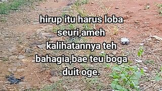 ayam broiler || kata kata lucu 588