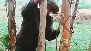 A quick way to move nature