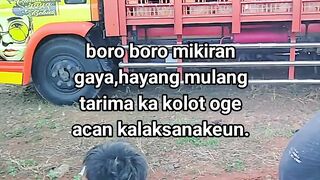 ayam broiler || kata kata lucu 589