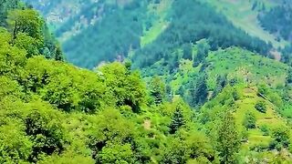 1380,status,status video,status song,status whatsap,beast song,good song,video,natural