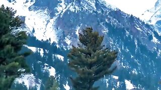 status,status video,status song,status whatsap,beast song,good song,video,natural