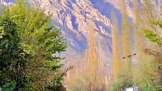 status,status video,status song,status whatsap,beast song,good song,video,natural