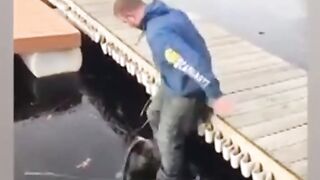 Watch Till The End