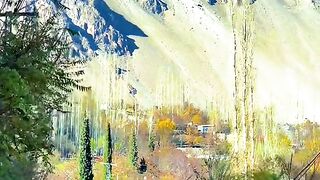 1390,status,status video,status song,status whatsap,beast song,good song,video,natural