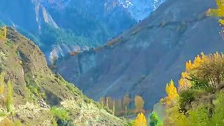 1410,status,status video,status song,status whatsap,beast song,good song,video,natural