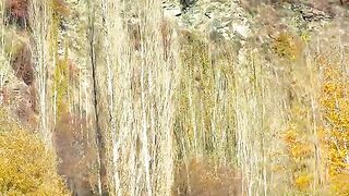 status,status video,status song,status whatsap,beast song,good song,video,natural