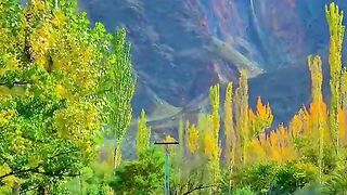 status,status video,status song,status whatsap,beast song,good song,video,natural