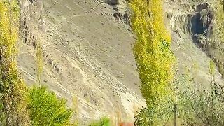 status,status video,status song,status whatsap,beast song,good song,video,natural